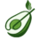 Persea